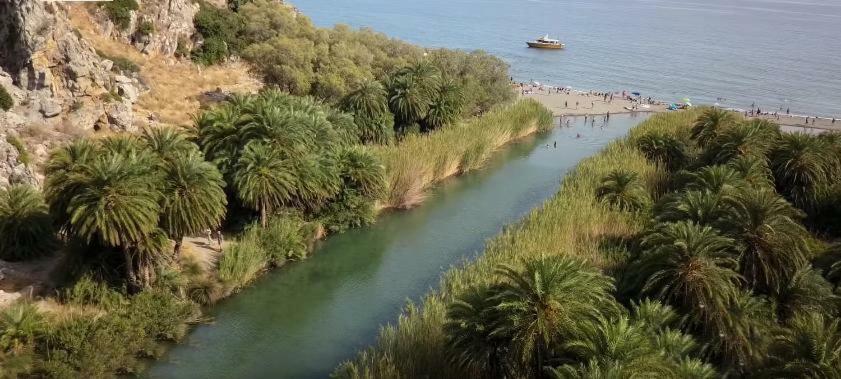 ريثيمنو Diogenis Suite المظهر الخارجي الصورة